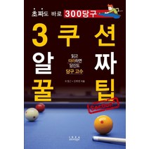 3쿠션 알짜 꿀팁 Section+:초짜도 바로 300 당구 | 읽고 따라하면 당신도 당구 고수, 아이디어스토리지