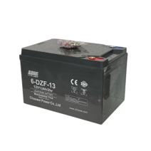 전동용 GEL CHILWEE 배터리 6-DZF-13