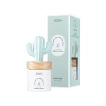 라운드어라운드 만세 선인장 디퓨저 100ml