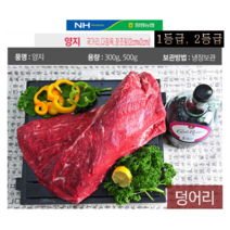 농협안심한우 양지모음, 1팩, 300g 덩어리(1등급)