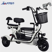세계일주 48V12A 50km 리튬배터리포함 세발 삼륜 전기 자전거 3발 여성용 2인승 3륜 고성능 CK333, 블랙