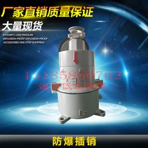 콘센트플러그 AC16 알루미늄 합금 방폭 16A 220 380V 2269513022, 1, AC-16A (380v )직삽입식