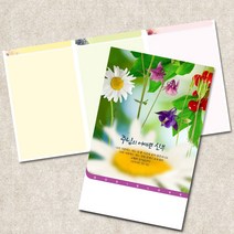 주보용지 3단 주보 교회 예배 주보인쇄 기성 디자인 칼라 청년부 주보 제작 기독교용품, EW-34