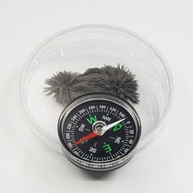 자석 자기장 철가루 실험세트(5인세트)