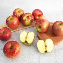 [더조은] 아리수 사과 가정용 5kg 19-21과, 없음