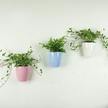 벽 화분 인테리어 걸이 걸이식 자동 물 흡수 식물 벽걸이 수직 정원 가든 장식, 하늘색, 185x155mm