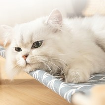 호쿠호니 강아지해먹 고양이 야전침대 반려견캠핑 애견 천 의자 휴식, 4.사각형(그레이)