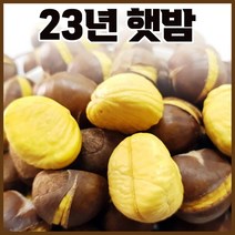 23년 명품 국산 공주밤 및 23년산 명품약단밤 생율 1kg+1kg 칼집밤 혼합, 23년산 햇 약단밤 1kg + 생율밤1kg (혼합)