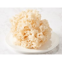 최고급생꽃송이버섯, 고급보자기, 500g