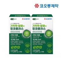 기억력 혈행엔 징코 플러스 정 영양제 찡코 진코 은행잎 추출물 150mg 함유 플라보놀배당체 7종복합기능성 식약처 기능성 인증 건강기능식품, 2개월분(비타민증정)