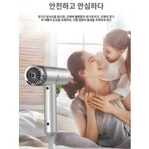 음이온 가정용 드라이기 고출력 미용실 전용 헤어드라이기, 티 드라이기 실버