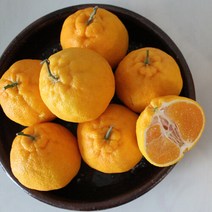 제주 위미농협 한라봉 10kg(22-40과)벌크포장, 단품