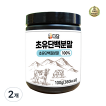 라이브잇 다담 웰푸드 초유단백 분말 100%, 100g, 2개