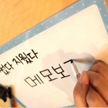 탈부착 가능 A4사이즈 스케쥴 메모보드 생활용품 학원게시판 화이트보드판 메모판, 검정
