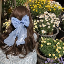 프랑스 샴페인 핑크 플래시 활 봄 클립 헤어핀 여성 백 헤드 헤드 헤드 그물 레드 고급 헤어 액세서리