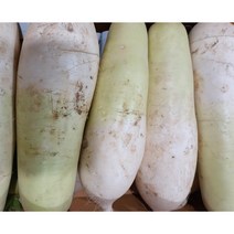 [윤가네세자매] 국내산 햇 무 10kg 20kg 햇무, 햇 무 20kg, 1개