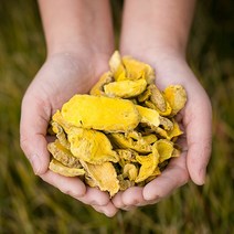 봉래 국산 울금 200g/울금차/배변활동/기혈차/한방차/건강차 식품 > 건강식품 전통건강식품 기타전통건강식품/한방재료, 1, 200g” class=”wr-img”></a></div>
</p></div>
</p></div>
</p></div>
<div class=