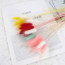 라그라스 강아지풀 프리저브드 조화 도매, 01화이트