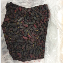 생산자직배송 국산 청일오디 5kg 햇 뽕나무열매 산뽕나무열매 냉동 청일뽕 생과 급냉발송 냉동오디