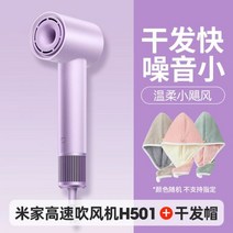 KICA JET FAN2 키카제트팬2 카이카제트팬2 에어건 제트팬 무선에어건 무선에어건 강풍 고출력, Xiaomi 고속 헤어 드라이어 H501 보라색 + 드