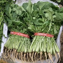 원동FS 국내산 울산열무 (1.7kg내외), 1단