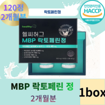 락토페린 초유 락토페린정 MBP 단백질 다이어트 락토페린농축물 MBP가루 정 고함량
