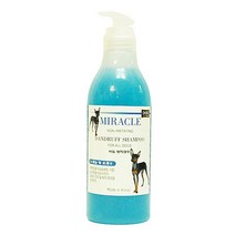 520ml 비듬방지 강아지전용 세정 샴푸 두피건강 트러블 머릿결 손상모발 순한 윤기 저자극 미용실