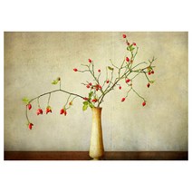 [로씨네]이케아 피에테뤼드 그림 로즈힙 100 x 80cm / 904.790.54