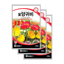 꽃 양귀비 씨앗 2000립 3봉 개양귀비 종자 노지월동 다년생 꽃씨 shirley poppy, 9봉