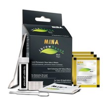 미나 MINA ibrow 헤나 애쉬 블론드 반영구 틴트 키트 전문 및 염색용 흰머리 커버 최대 6주 유지-레귤러 키트 (30가지 용도) 321877, Pearl Gray