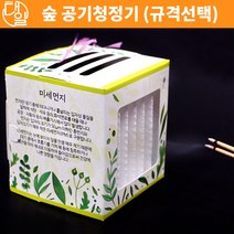 자체상품 숲 공기청정기(1인용|5인용), 1인용