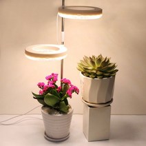 Angel Ring LED 성장 빛 전체 스펙트럼 USB DC5V UV 램프 실내 식물 꽃 모종 Phytolamp, [01] Natural White 2 Ring