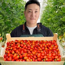 셔리푸드 스테비아 방울 토마토 잔류농약 초음파 세척완료 농장 산지직송, 1개, 1kg
