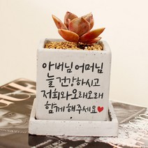 부모님 할머니 할아버지 선생님 선물 캘리그라피 미니 컬러 화분 - 오래오래 함께해주세요, 와이드화분(+18000원), 핑크, 뒷면인쇄선택(+5000)
