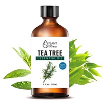 닥터월드 대용량 천연 에센셜 오일 118ml 21종 아로마 테라피 마사지 디퓨저 비누 만들기, 뷰티 티트리 천연 에센셜오일 118ml