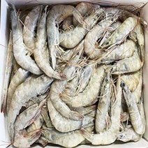 흰다리 새우 60~80마리 (냉동) 2kg(3040), 중사이즈 (41/50) 80미~100미