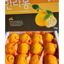 제주 제철한라봉 천혜향 3kg 5kg 10kg 가정용 선물용, 한라봉10kg(상품)