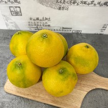 제주 황금향 3kg 중과 7-18과 가정용 흠과 신비향 수라향 설국향 불로초 하우스 노지