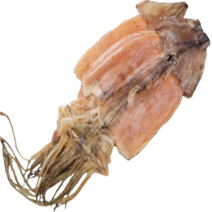 원양산 오징어 건조오징어 포항 구룡포 건조 마른오징어, 원양산 구룡포 건조 마른오징어 250g내외