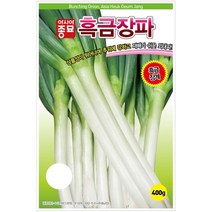 흑금장 파 씨앗 10g 생육 빠름 수량성 높은 외 대파 종자 추위 강함 기르기 쉬운 텃밭 채소 베란다 야채