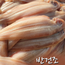 반건조 박대 서대 자연해풍 말린생선 특산물 구이 튀김 조림 탕 용 녹도현주네 수산, [왕]박대36-40cm/10미-진공포장