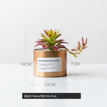 작은 화분 장식 모사 식물 다육 조화 거실 실내 테이블 장식 북유럽 그린 식 ins 풍 분경 선물, 골드철냄비+꽃덮인로터스밤에