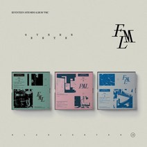 세븐틴 - 미니 10집 FML - 아웃박스(랜덤 1종)+포토북(88p)+가사지(12p)+스티커(랜덤 1종)+포토카드(랜덤 2종)+북마크(랜덤 1종)