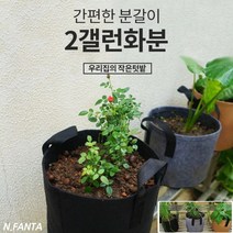 부직포 화분 식물 감자 키우기 2갤런 20x20 블루베리 고구마 감자 모종 키우기 베란다 텃밭 흙 담기 화분, 2화분2갤런-그레이