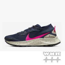 나이키 페가수스 트레일 3 GORE-TEX DC8793-401