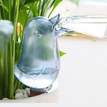 목마른아기새 방에서키우는식물 관리쉬운 사무실책상화분 어린이집 유치원미니화분 조앤호지슨, 핑크