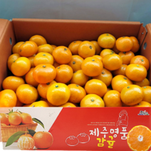 산지직송 제주도 서귀포 고당도 극조생감귤 제주 프리미엄 명품 감귤 가정용 새콤달콤 신선한 귤, 로얄과(S) 10kg