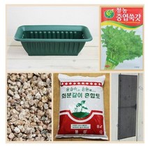 행복한세상 텃밭가꾸기 중 쑥갓, 2개