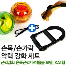[9900원 균일가전] 카시야 손목근력기+머슬볼 KA1 모델 세트, 단품