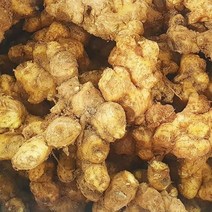 요리조리 국내산 토종 햇 흙 생강 4kg